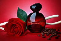 /album/galleria-fotografica/ru-image-1-2-jpg/